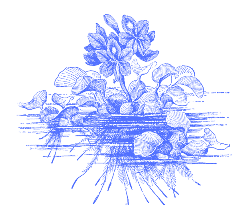 Idea Garden Logo